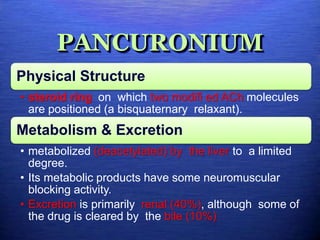 PANCURONIUM
Physical Structure
• steroid ring on which two modifi ed ACh molecules
are positioned (a bisquaternary relaxant).
Metabolism & Excretion
• metabolized (deacetylated) by the liver to a limited
degree.
• Its metabolic products have some neuromuscular
blocking activity.
• Excretion is primarily renal (40%), although some of
the drug is cleared by the bile (10%)
 