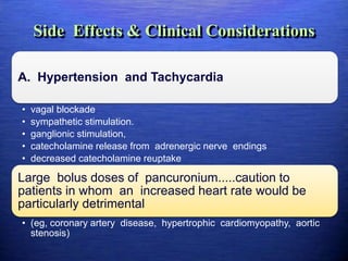 Side Effects & Clinical Considerations
A. Hypertension and Tachycardia
• vagal blockade
• sympathetic stimulation.
• ganglionic stimulation,
• catecholamine release from adrenergic nerve endings
• decreased catecholamine reuptake
Large bolus doses of pancuronium.....caution to
patients in whom an increased heart rate would be
particularly detrimental
• (eg, coronary artery disease, hypertrophic cardiomyopathy, aortic
stenosis)
 