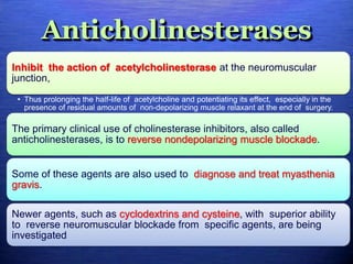 Anticholinesterases
Inhibit the action of acetylcholinesterase at the neuromuscular
junction,
• Thus prolonging the half-life of acetylcholine and potentiating its effect, especially in the
presence of residual amounts of non-depolarizing muscle relaxant at the end of surgery.
The primary clinical use of cholinesterase inhibitors, also called
anticholinesterases, is to reverse nondepolarizing muscle blockade.
Some of these agents are also used to diagnose and treat myasthenia
gravis.
Newer agents, such as cyclodextrins and cysteine, with superior ability
to reverse neuromuscular blockade from specific agents, are being
investigated
 