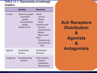 Ach Receptors
Distribution
&
Agonists
&
Antagonists
 