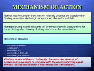 MECHANISM OF ACTION
Normal neuromuscular transmission critically depends on acetylcholine
binding to nicotinic cholinergic receptors on the motor endplate.
Nondepolarizing muscle relaxants act by competing with acetylcholine for
these binding sites, thereby blocking neuromuscular transmission.
Reversal of blockade
• spontaneous reversal
• redistribution,
• metabolism, and
• excretion from the body
• pharmacological reversal
Cholinesterase inhibitors indirectly increase the amount of
acetylcholine available to compete with the nondepolarizing agent,
thereby reestablishing normal neuromuscular transmission.
 