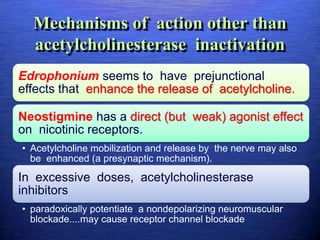 Mechanisms of action other than
acetylcholinesterase inactivation
Edrophonium seems to have prejunctional
effects that enhance the release of acetylcholine.
Neostigmine has a direct (but weak) agonist effect
on nicotinic receptors.
• Acetylcholine mobilization and release by the nerve may also
be enhanced (a presynaptic mechanism).
In excessive doses, acetylcholinesterase
inhibitors
• paradoxically potentiate a nondepolarizing neuromuscular
blockade....may cause receptor channel blockade
 