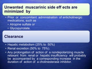 Unwanted muscarinic side eff ects are
minimized by
• Prior or concomitant administration of anticholinergic
medications, such as
• Atropine sulfate or
• Glycopyrrolate.
Clearance
• Hepatic metabolism (25% to 50%)
• Renal excretion (50% to 75%).
• Any prolongation of action of a nondepolarizing muscle
relaxant from renal or hepatic insufficiency will probably
be accompanied by a corresponding increase in the
duration of action of a cholinesterase inhibitor.
 