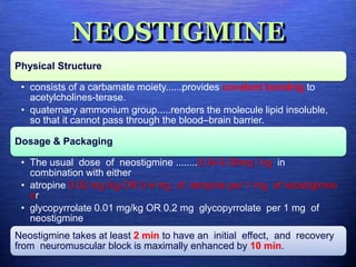 NEOSTIGMINE
Physical Structure
• consists of a carbamate moiety......provides covalent bonding to
acetylcholines-terase.
• quaternary ammonium group.....renders the molecule lipid insoluble,
so that it cannot pass through the blood–brain barrier.
Dosage & Packaging
• The usual dose of neostigmine ........0.04-0.08mg / kg in
combination with either
• atropine 0.02 mg /kg OR 0.4 mg of atropine per 1 mg of neostigmine
or
• glycopyrrolate 0.01 mg/kg OR 0.2 mg glycopyrrolate per 1 mg of
neostigmine
Neostigmine takes at least 2 min to have an initial effect, and recovery
from neuromuscular block is maximally enhanced by 10 min.
 