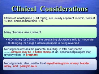 Clinical Considerations
Effects of neostigmine (0.04 mg/kg) are usually apparent in 5min, peak at
10 min, and last more than 1 hr.
Many clinicians use a dose of
• 0.04 mg/kg (or 2.5 mg) if the preexisting blockade is mild to moderate
• 0.08 mg/kg (or 5 mg) if intense paralysis is being reversed
Neostigmine crosses the placenta, resulting in fetal bradycardia.
.........Atropine may be a better choice of an anticholinergic agent than
glycopyrrolate in pregnant
Neostigmine is also used to treat myasthenia gravis, urinary bladder
atony, and paralytic ileus.
 