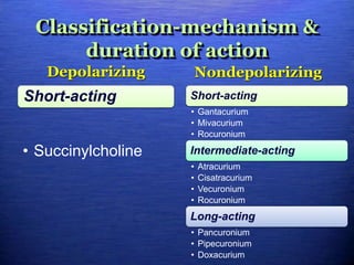 Classification-mechanism &
duration of action
Depolarizing
Short-acting
• Succinylcholine
Nondepolarizing
Short-acting
• Gantacurium
• Mivacurium
• Rocuronium
Intermediate-acting
• Atracurium
• Cisatracurium
• Vecuronium
• Rocuronium
Long-acting
• Pancuronium
• Pipecuronium
• Doxacurium
 