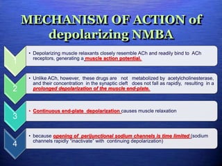 MECHANISM OF ACTION of
depolarizing NMBA
1
• Depolarizing muscle relaxants closely resemble ACh and readily bind to ACh
receptors, generating a muscle action potential.
2
• Unlike ACh, however, these drugs are not metabolized by acetylcholinesterase,
and their concentration in the synaptic cleft does not fall as rapidly, resulting in a
prolonged depolarization of the muscle end-plate.
3
• Continuous end-plate depolarization causes muscle relaxation
4
• because opening of perijunctional sodium channels is time limited (sodium
channels rapidly “inactivate” with continuing depolarization)
 