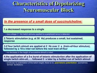 Characteristics of Depolarizing
Neuromuscular Block
In the presence of a small dose of succinylcholine:
1.a decreased response to a single
• low-voltage (1 Hz) twitch stimulus applied to a peripheral nerve is detected.
2.Tetanic stimulation (e.g. at 50 Hz) produces a small, but sustained,
response
3.if four twitch stimuli are applied at 2 Hz over 2 s (train-of-four stimulus),
followed by a 10-s inter-val before the next train-of-four
• no decrease in the height of successive stimuli is noted
4.the application of a 5-s burst of tetanic stimula-tion after the application of
single twitch stim-uli,…. followed 3 s later by a further run of twitch stimuli
• produces no potentiation of the twitch height; there is no post-tetanic potentiation (sometimes
termed facilitation)
 