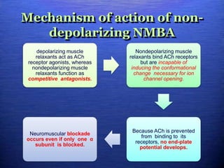 Mechanism of action of non-
depolarizing NMBA
depolarizing muscle
relaxants act as ACh
receptor agonists, whereas
nondepolarizing muscle
relaxants function as
competitive antagonists.
Nondepolarizing muscle
relaxants bind ACh receptors
but are incapable of
inducing the conformational
change necessary for ion
channel opening.
Because ACh is prevented
from binding to its
receptors, no end-plate
potential develops.
Neuromuscular blockade
occurs even if only one α
subunit is blocked.
 