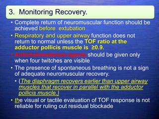 3. Monitoring Recovery.
• Complete return of neuromuscular function should be
achieved before extubation
• Respiratory and upper airway function does not
return to normal unless the TOF ratio at the
adductor pollicis muscle is ≥0.9.
• Anticholinesterase agents should be given only
when four twitches are visible
• The presence of spontaneous breathing is not a sign
of adequate neuromuscular recovery.
• (The diaphragm recovers earlier than upper airway
muscles that recover in parallel with the adductor
pollicis muscle.)
• the visual or tactile evaluation of TOF response is not
reliable for ruling out residual blockade
 
