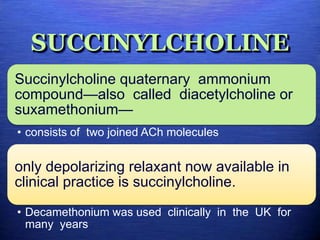 SUCCINYLCHOLINE
Succinylcholine quaternary ammonium
compound—also called diacetylcholine or
suxamethonium—
• consists of two joined ACh molecules
only depolarizing relaxant now available in
clinical practice is succinylcholine.
• Decamethonium was used clinically in the UK for
many years
 