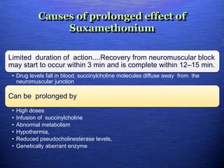 Causes of prolonged effect of
Suxamethonium
Limited duration of action....Recovery from neuromuscular block
may start to occur within 3 min and is complete within 12–15 min.
• Drug levels fall in blood, succinylcholine molecules diffuse away from the
neuromuscular junction
Can be prolonged by
• High doses
• Infusion of succinylcholine
• Abnormal metabolism
• Hypothermia,
• Reduced pseudocholinesterase levels,
• Genetically aberrant enzyme
 