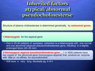 Inherited factors
atypical/abnormal
pseudocholinesterse
Structure of plasma cholinesterase is determined genetically, by autosomal genes,
1.Heterozygote for the atypical gene
• One in 25-30 patients of european extraction is a heterozygote with one normal
and one abnormal (atypical) pseudocholinesterase gene, resulting in a slightly
prolonged block (20–30 min)
2.Homozygous atypical pseudocholinesterse gene.....1 in 3000 patients have
two copies of the abnormal gene (homozygous atypical) that produce an enzyme
with little or no affinity for succinylcholine.
• Will have a very long blockade eg, 4–8 h
 