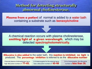 Method for detecting structurally
abnormal cholinesterase.
Dibucaine is also added to the water bath, this reaction is inhibited; no light is
produced. The percentage inhibition is referred to as the dibucaine number
1.Normal plasma cholinesterase has a
high dibucaine number of 77–83.
2.A heterozygote for the atypical gene
has a dibucaine number of 45–68
3.In a homozygote, the dibucaine
number is less than 30.
A chemical reaction occurs with plasma cholinesterase,
emitting light of a given wavelength, which may be
detected spectrophotometrically.
Plasma from a patient of normal is added to a water bath
containing a substrate such as benzoylcholine
 