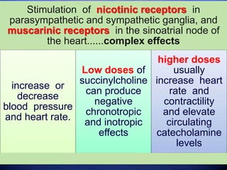Stimulation of nicotinic receptors in
parasympathetic and sympathetic ganglia, and
muscarinic receptors in the sinoatrial node of
the heart......complex effects
increase or
decrease
blood pressure
and heart rate.
Low doses of
succinylcholine
can produce
negative
chronotropic
and inotropic
effects
higher doses
usually
increase heart
rate and
contractility
and elevate
circulating
catecholamine
levels
 