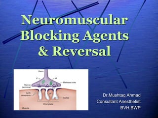 Neuromuscular
Blocking Agents
& Reversal
Dr.Mushtaq Ahmad
Consultant Anesthetist
BVH,BWP
 