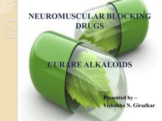 NEUROMUSCULAR BLOCKING
DRUGS
CURARE ALKALOIDS
Presented by –
Vishakha N. Giradkar
 