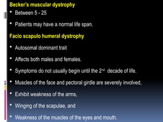Becker’s muscular dystrophy
 Between 5 - 25
 Patients may have a normal life span.
Facio scapulo humeral dystrophy
 Autosomal dominant trait
 Affects both males and females.
 Symptoms do not usually begin until the 2nd
decade of life.
 Muscles of the face and pectoral girdle are severely involved,
 Exhibit weakness of the arms,
 Winging of the scapulae, and
 Weakness of the muscles of the eyes and mouth.
 