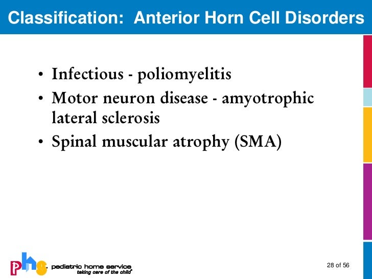 Neuromuscular Diseases