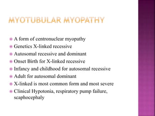  A form of centronuclear myopathy
 Genetics X-linked recessive
 Autosomal recessive and dominant
 Onset Birth for X-linked recessive
 Infancy and childhood for autosomal recessive
 Adult for autosomal dominant
 X-linked is most common form and most severe
 Clinical Hypotonia, respiratory pump failure,
scaphocephaly
 