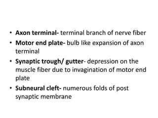 Neuromuscular junction | PPTX