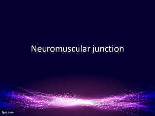 Neuromuscular junction
 