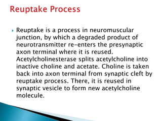  Reuptake is a process in neuromuscular
junction, by which a degraded product of
neurotransmitter re-enters the presynaptic
axon terminal where it is reused.
Acetylcholinesterase splits acetylcholine into
inactive choline and acetate. Choline is taken
back into axon terminal from synaptic cleft by
reuptake process. There, it is reused in
synaptic vesicle to form new acetylcholine
molecule.
 