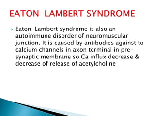  Eaton-Lambert syndrome is also an
autoimmune disorder of neuromuscular
junction. It is caused by antibodies against to
calcium channels in axon terminal in pre-
synaptic membrane so Ca influx decrease &
decrease of release of acetylcholine
 