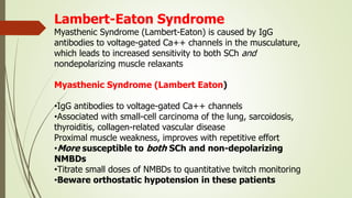 Lambert Muscle Neuromuscular junction anatomy & physiology | PPTX