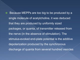 Neuromuscular junction and its physiology | PPTX