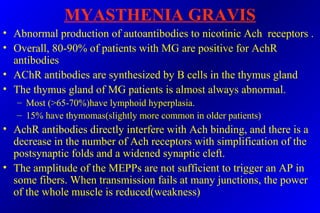 MYASTHENIA GRAVIS
• Abnormal production of autoantibodies to nicotinic Ach receptors .
• Overall, 80-90% of patients with MG are positive for AchR
antibodies
• AChR antibodies are synthesized by B cells in the thymus gland
• The thymus gland of MG patients is almost always abnormal.
– Most (>65-70%)have lymphoid hyperplasia.
– 15% have thymomas(slightly more common in older patients)
• AchR antibodies directly interfere with Ach binding, and there is a
decrease in the number of Ach receptors with simplification of the
postsynaptic folds and a widened synaptic cleft.
• The amplitude of the MEPPs are not sufficient to trigger an AP in
some fibers. When transmission fails at many junctions, the power
of the whole muscle is reduced(weakness)
 