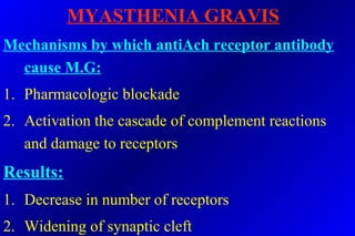 MYASTHENIA GRAVIS
Mechanisms by which antiAch receptor antibody
cause M.G:
1. Pharmacologic blockade
2. Activation the cascade of complement reactions
and damage to receptors
Results:
1. Decrease in number of receptors
2. Widening of synaptic cleft
 