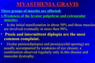 MYASTHENIA GRAVIS
Three groups of muscles are affected:
1-Weakness of the levator palpebrae and extraocular
muscles:
• Is the initial manifestation in about 50% and these muscles
are involved eventually in more then 90%.
• Ptosis and intermittent diplopia are the most
common complaint.
• Ocular palsies(diplopia) and ptosis(eyelid opening) are
usually accompanied by weakness of eye closure, a
combination observed regularly only in this disease and
muscular dystrophy.
 