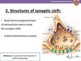 Neuromuscular junction SGD.pptx