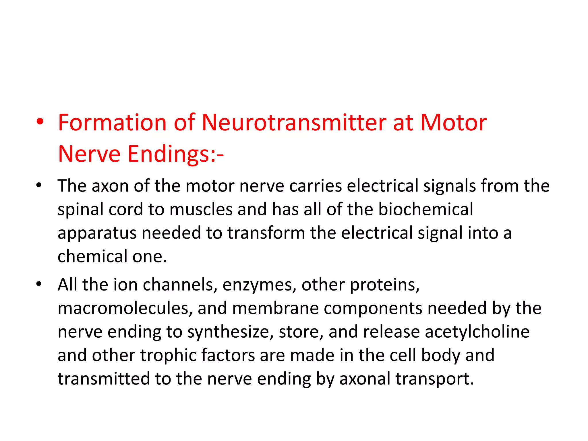 • Formation of Neurotransmitter at Motor
Nerve Endings:-
• The axon of the motor nerve carries electrical signals from the
spinal cord to muscles and has all of the biochemical
apparatus needed to transform the electrical signal into a
chemical one.
• All the ion channels, enzymes, other proteins,
macromolecules, and membrane components needed by the
nerve ending to synthesize, store, and release acetylcholine
and other trophic factors are made in the cell body and
transmitted to the nerve ending by axonal transport.
 