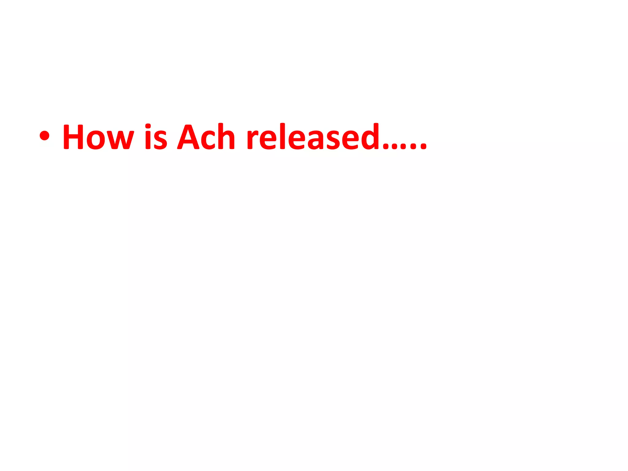• How is Ach released…..
 