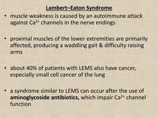 Lambert Muscle Neuromuscular transmission | PDF