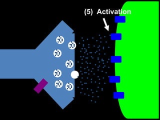 (5) Activation

 