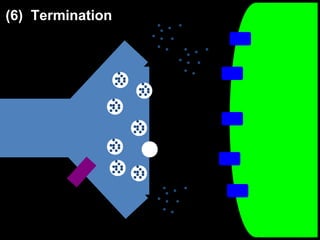 (6) Termination

 