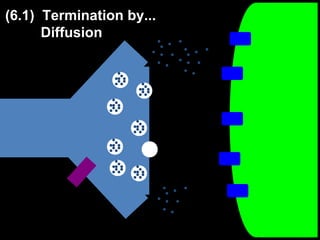 (6.1) Termination by...
Diffusion

 