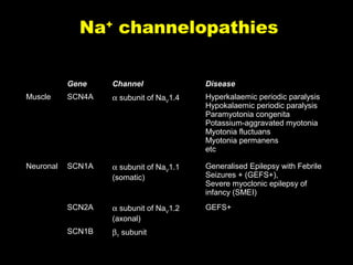 Na+ channelopathies
Gene

Channel

Disease

Muscle

SCN4A

α subunit of NaV1.4

Hyperkalaemic periodic paralysis
Hypokalaemic periodic paralysis
Paramyotonia congenita
Potassium-aggravated myotonia
Myotonia fluctuans
Myotonia permanens
etc

Neuronal

SCN1A

α subunit of NaV1.1
(somatic)

Generalised Epilepsy with Febrile
Seizures + (GEFS+),
Severe myoclonic epilepsy of
infancy (SMEI)

SCN2A

α subunit of NaV1.2
(axonal)

GEFS+

SCN1B

β1 subunit

 