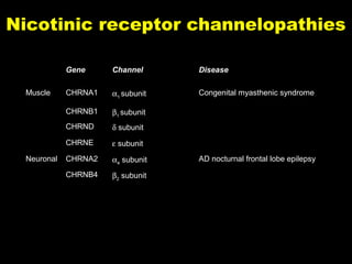 Nicotinic receptor channelopathies
Gene
CHRNA1

α1 subunit

Congenital myasthenic syndrome

β1 subunit

CHRND

δ subunit

CHRNE
Neuronal

Disease

CHRNB1

Muscle

Channel

ε subunit

CHRNA2

α4 subunit

CHRNB4

β2 subunit

AD nocturnal frontal lobe epilepsy

 
