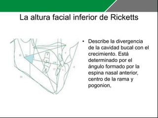 Neuromusculatura y Dimensión Vertical | PPTX