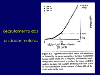 Recrutamento das
unidades motoras
 