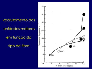 Recrutamento das
unidades motoras
em função do
tipo de fibra
 