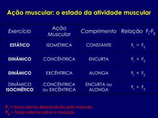 Ação muscular: o estado da atividade muscular
Exercício
Ação
Muscular
Comprimento Relação FI
-FE
ESTÁTICO ISOMÉTRICA CONSTANTE FI
= FE
DINÂMICO CONCÊNTRICA ENCURTA FI
> FE
DINÂMICO EXCÊNTRICA ALONGA FI
< FE
DINÂMICO
ISOCINËTICO
CONCÊNTRICA
ou EXCÊNTRICA
ENCURTA ou
ALONGA
FI
= FE
Fi
= força interna desenvolvida pelo músculo.
FE
= força externa sobre o músculo.
 