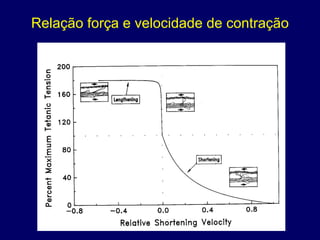 Relação força e velocidade de contração
 