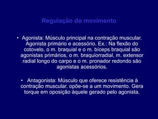 Regulação do movimento
• Agonista: Músculo principal na contração muscular.
Agonista primário e acessório. Ex.: Na flexão do
cotovelo, o m. braquial e o m. bíceps braquial são
agonistas primários, o m. braquiorradial, m. extensor
radial longo do carpo e o m. pronador redondo são
agonistas acessórios.
• Antagonista: Músculo que oferece resistência à
contração muscular. opõe-se a um movimento. Gera
torque em oposição àquele gerado pelo agonista.
 