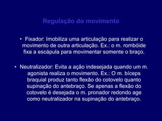 Regulação do movimento
• Fixador: Imobiliza uma articulação para realizar o
movimento de outra articulação. Ex.: o m. rombóide
fixa a escápula para movimentar somente o braço.
• Neutralizador: Evita a ação indesejada quando um m.
agonista realiza o movimento. Ex.: O m. bíceps
braquial produz tanto flexão do cotovelo quanto
supinação do antebraço. Se apenas a flexão do
cotovelo é desejada o m. pronador redondo age
como neutralizador na supinação do antebraço.
 