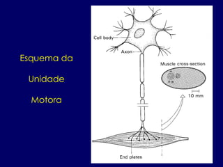Esquema da
Unidade
Motora
 